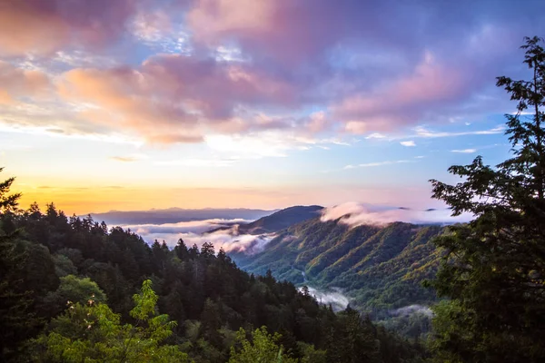 Sunrise Over Newfound Gap. Gatlinburg, Tennessee 'nin dışındaki Büyük Smoky Dağları Ulusal Parkı' ndaki Yeni Bulmuş Boşluğu 'nda güzel sisli bir gün doğumu..