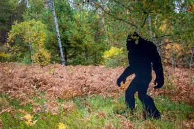 Bigfoot Sighting. Black silhouette of Bigfoot cutout at a state park in northern Michigan. clipart