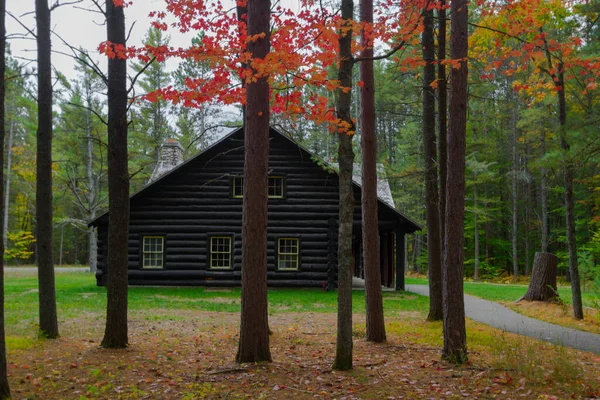 Domek Dzienny Lesie Tradycyjna Drewniana Kabina Odległym Lesie Otoczona Jesiennymi — Zdjęcie stockowe