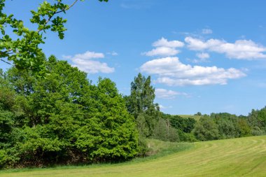 yeşil çayır ve Mayıs ayında ağaçları ile bir manzara