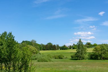 yeşil alan ve Mayıs ayında ağaçları ile bir manzara