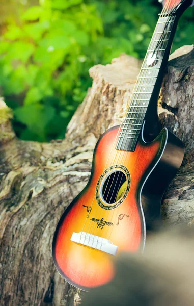 Guitarra Acústica Madera Aire Libre Naturaleza — Foto de Stock