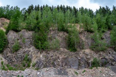 Yeşil ağaçlar büyüyen çam ekimi ile toprak erozyon belirtileri ile maruz kalan bir yamaçta manzarası üzerinde görünür