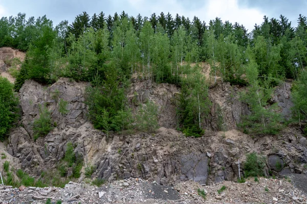 Yeşil ağaçlar büyüyen çam ekimi ile toprak erozyon belirtileri ile maruz kalan bir yamaçta manzarası üzerinde görünür