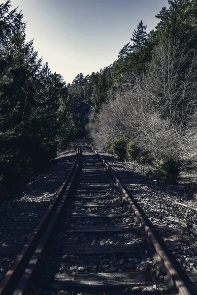 Ormanın Içinde Karanlıkta Demiryolu Parkuru — Stok fotoğraf