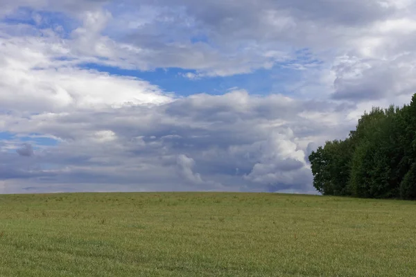 Eine Schöne Sommerlandschaft Mit Wiese Und Wolken — Stockfoto