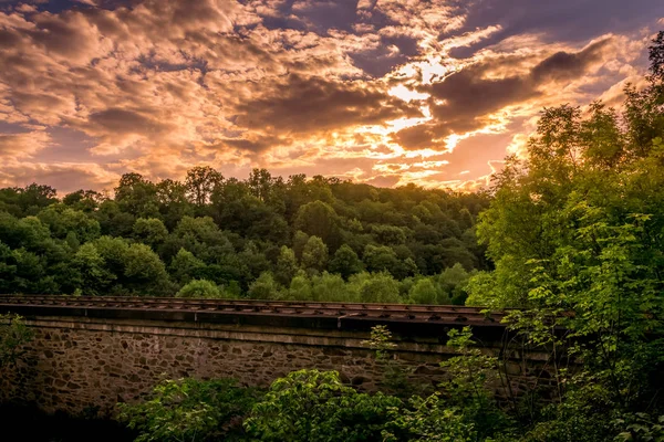 Boslandschap met oude spoorlijn — Stockfoto