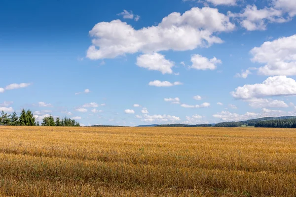 Harvested field with blue sky — Stock Photo, Image