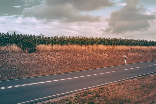 Droga z polem kukurydzy — Zdjęcie stockowe