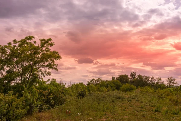 Colorido Atardecer Rosa Cielo Nublado Sobre Frondosos Bosques Rurales Verdes —  Fotos de Stock