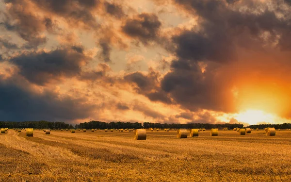 風光明媚な農業風景の中で黄金の頑丈上の円形の干し草の山のフィールド上の日没 — ストック写真