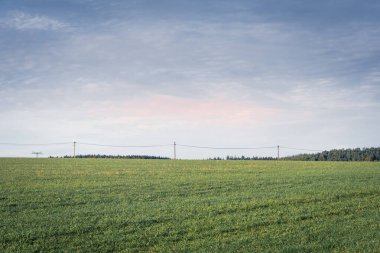 Kırsal kesimde, bulutlu mavi gökyüzüne karşı ufuk çizgisinde elektrik direkleri olan büyük, düz yeşil çimenli bir arazi ve gün batımında veya gündoğumunda bulutlara soluk pembe bir renk.