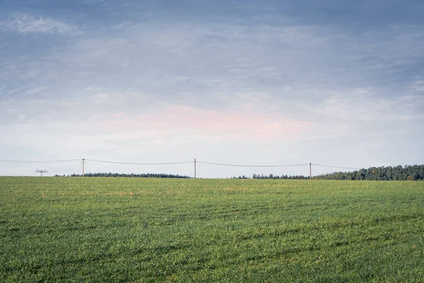 田舎の大きな平らな緑の芝生のフィールド 曇り空との距離のスカイラインに電気パイロンと日没や日の出に雲に色のかすかなピンクの色合い — ストック写真