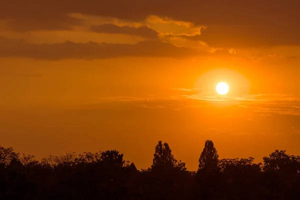 Spektakulär Levande Orange Eldig Solnedgång Över Silhuett Träd Och Skog — Stockfoto