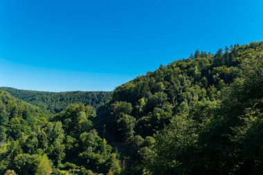 Geniş mavi gökyüzünün altında yemyeşil tepeler uzanıyor ve dingin bir atmosfer yaratıyor. Güneş ışığı ağaçların arasından süzülüp bu huzurlu ortamda doğanın güzelliğini vurgular..