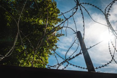 Dikenli tel, yemyeşil bir zemin ve parlak bir gökyüzünün önünde, güneşli bir günde hapsin ve doğanın güzelliğinin yan yana gelişini vurguluyor..