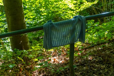 Parlak bir orman benekli güneş ışığıyla parlarken mavi bir kumaş korkuluklarda usulca sallanıyor, sakin orman yoluna biraz renk katıyor, keşif ve yansımaya davetiye çıkarıyor..