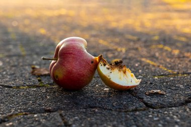 Bir elma yıpranmış asfaltta yatıyor, ısırılarak koparılmış bir parça beyaz etini ortaya çıkarıyor. Batan güneşin sıcacık parıltısı onun canlı renklerini vurgular, güzelliği ve kaybı mükemmel bir uyum içinde harmanlar..