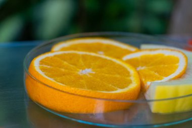 Parlak portakal dilimleri şeffaf bir tabakta, sulu dokularını sergiliyor. Etrafı yeşilliklerle çevrili olan sahne, ferahlatıcı bir atmosferi çağrıştıran sıcak güneş ışığıyla aydınlatılıyor..