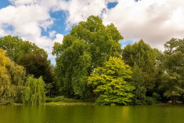 Uzun, enerjik ağaçlar, sakin bir su kütlesinin etrafını sarar. Yansımaları gün ışığında parıldar. Birkaç pofuduk bulut, canlı mavi gökyüzünde tembelce sürüklenerek, cennet atmosferini güçlendirir..