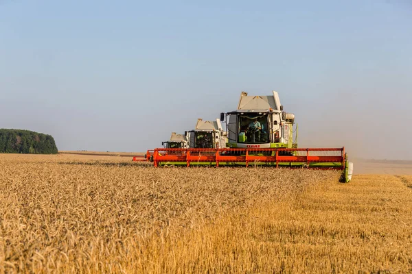 Republik Tatarstan Musljumowo August 2020 Mähdrescher Aus Weizen Einer Sommerlandschaft — Stockfoto