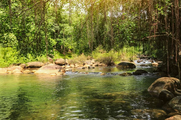 Tropical river with waterfall. Green jungle forest