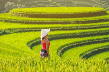 Pirinç teras viewpoin de Mu cang chai, Vietnam zevk kız