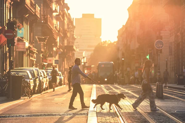 Bordeaux, Fransa - 2 Ekim 2018: sokak fotoğrafçılığı, adam yumuşak odak bir yürüyüşe köpeklerle günbatımı sırasında Bordeaux şehir, Fransa. Vintage tarzı
