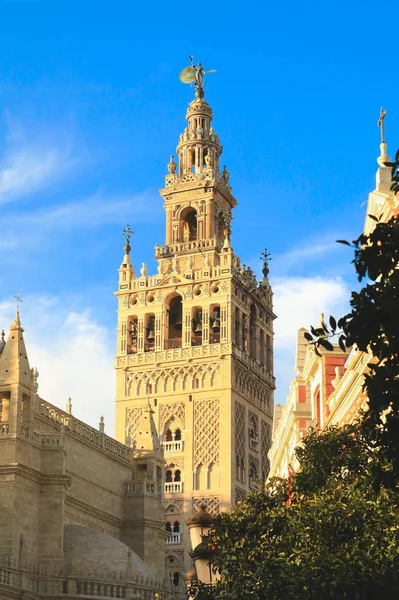 Pohled Minaretu Giralda Zvonice Modrou Oblohu Slavných Turistů Atrakce Seville — Stock fotografie