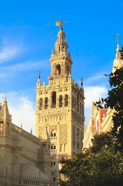 Çan Kulesi ile mavi gökyüzü, ünlü turistlerin cazibe Sevilla Katedrali, İspanya Giralda görünümünü