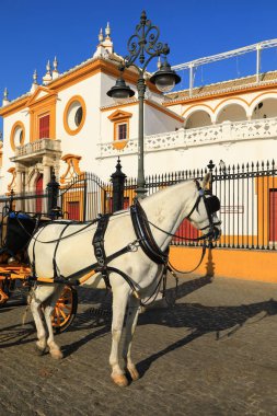 Sevilla, İspanya - 3 Ocak 2019: tarihi amfitiyatro Plaza de Toros. Seville Andalusia ve İspanya 4 büyük kenti başkentidir