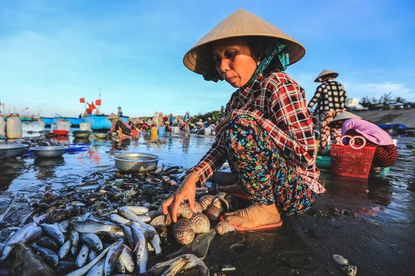 Yerel Satıcı Balıklar Mui Vietnam Ünlü Balıkçı Köyü Nde Shelles — Stok fotoğraf