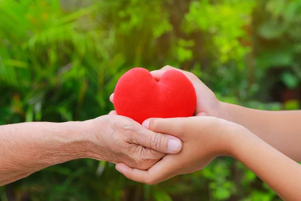 Eski ve yeşil doğa arka plan, insanlar, yaş, Aile, sevgi ve sağlık konsepti ile kırmızı kalp holding genç eller kapat