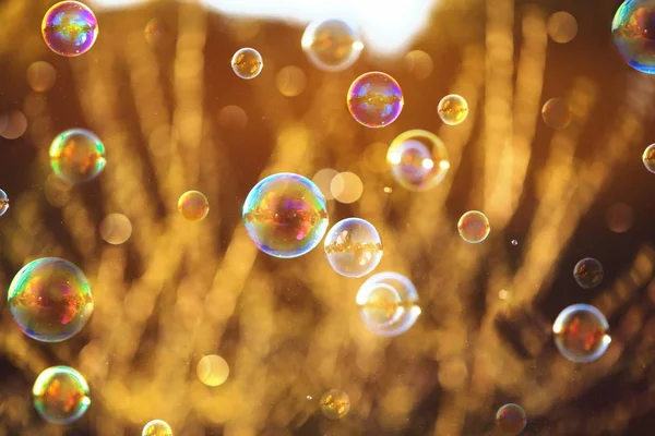 Blurred of floating soap bubbles of different colors and sizes in vintage style