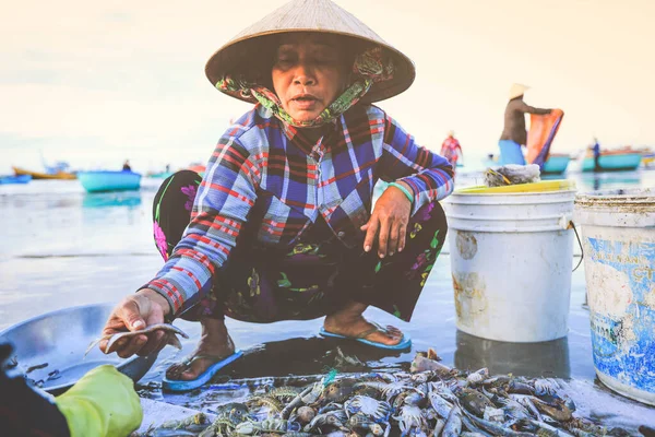 Mui Vietnam Enero 2019 Vendedor Local Está Recogiendo Peces Conchas — Foto de Stock