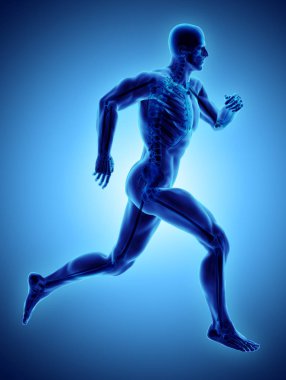 3d çizim erkek poz x-ray iskelet eklem, tıbbi konsepti ile çalışan.