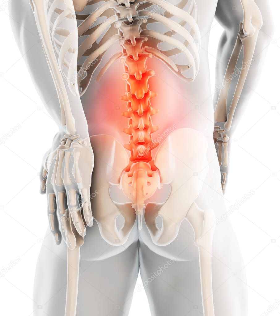 3D Illustration of sacral spine painful, medical concept.