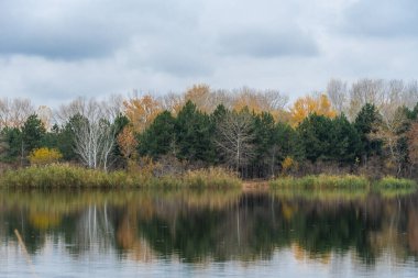 Çam ağaçları ve yaprak döken ağaçlarla dolu bir sonbahar adası. Sonbaharın sonlarında kasvetli gökyüzü manzarası. Yeşil bitkilerin, sarı yaprakların ve mavi suyun güzel doğa karışımı.