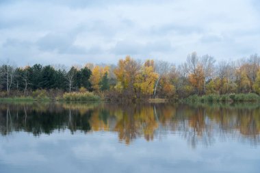 Çam ağaçları ve yaprak döken ağaçlarla dolu bir sonbahar adası. Sonbaharın sonlarında kasvetli gökyüzü manzarası. Yeşil bitkilerin, sarı yaprakların ve mavi suyun güzel doğa karışımı.