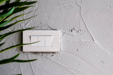 Beyaz grunge doku duvarında ve arka planda ağaç önplanında izole edilmiş beyaz ışık düğmesi