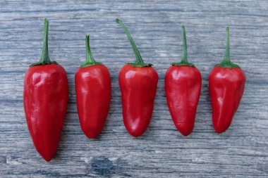Evde yetişen kırmızı biber. Tamamen çevre dostu ve temiz bir ürün. biber doğal bulutta fotoğraflanmıştır.