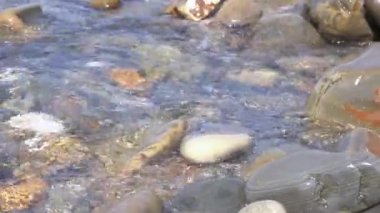 Deniz kıyısındaki taşlar