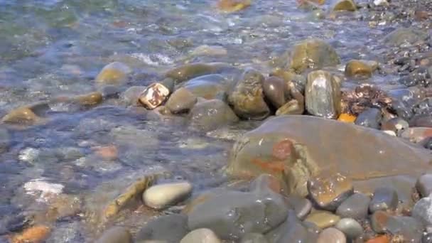 해변에 있는 돌들 — 비디오