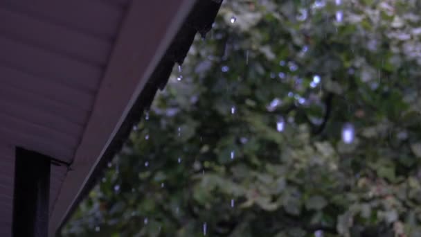 Gotas de chuva pingando do telhado — Vídeo de Stock