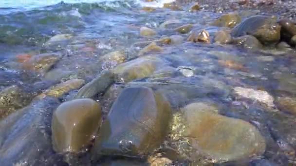 Piedras en la orilla del mar — Vídeos de Stock