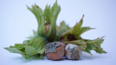 Beyaz arka planda olgun fındıklar. Fındıklar toplandı ve kabuktalar. Doğal ve taze ürünler. Doğal ışıkta çekilmiş.