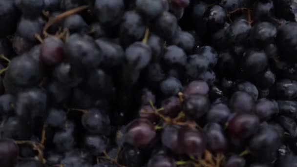 Winogrona — Wideo stockowe