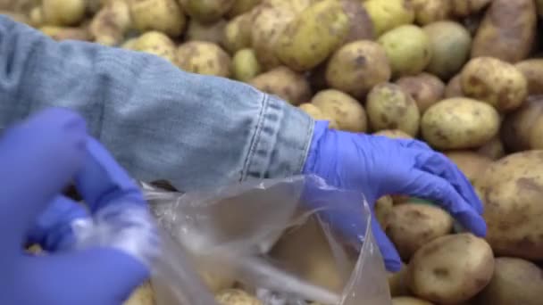 Картопля — стокове відео