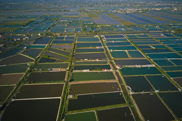 Luftaufnahme Einer Garnelenzuchtfarm Giao Thuy Vietnam — Stockfoto