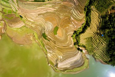 Sulama mevsiminde pirinç terasları, Y Ty, Lao Cai, Vietnam.